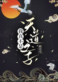 我真不是天道之子我真不是天道之子