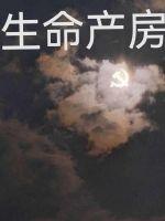 生命产房生命产房
