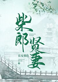 柴郎贤妻（种田文）柴郎贤妻（种田文）